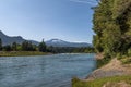 Forest landscape at the Biobio River, Chile