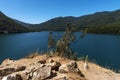 Forest landscape at the Biobio River, Chile