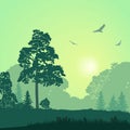 Forest landscape with birds, sunset, sunrise, green background.