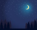 Forest Landscape Dark Night Sky With Lot of Shiny Stars and Grass Ground Silhoutte Background Royalty Free Stock Photo