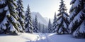 Forest landscape dominated by towering snow covered pine trees, needles, Royalty Free Stock Photo