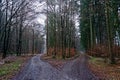 Crossroads in forest, late fall nature, parting of ways, decision Royalty Free Stock Photo