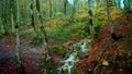 The forest is alive with the brook's murmur and waterfall blurred