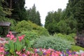 A forest landscape with flower beds in the Butchart Garden on Vancouver Island, British Columbia, Canada Royalty Free Stock Photo