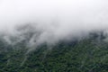 Forest landscape with fog in the mountains. Foggy mountain view of coniferous and pine forest in European alps in spring Royalty Free Stock Photo