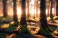 Forest landscape. Forest at dawn. Tree trunks with sunlight. Woodland with green moss, grass. Generative AI.