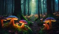 Forest landscape, glowing fungus, fantasy mushrooms in mystery dark forest, fairy tale mystical background Royalty Free Stock Photo