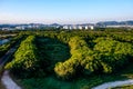 Forest landscape with condos in the background, near Vila Panam