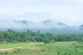 Forest landscape at Huai Kha Khaeng wildlife sanctuary