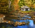 Forest, landscape and hut in river with trees, woods and natural environment in autumn with leaves or plants. Swamp Royalty Free Stock Photo