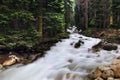 Forest landscape and mountain river in the vicinity of Dombay, Russia