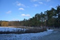 Forest landscape near a winter lake overgrown with reeds Royalty Free Stock Photo