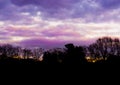 Forest landscape with pink and purple nacreous clouds, a colorful sky effect that rarely occurs in winter