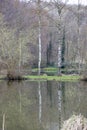 Forest landscape with a pond with reflection on water surface, bare trees in background Royalty Free Stock Photo