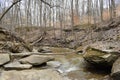 Forest landscape with a river in a forest in Cuyahoga National Park near Cleveland in Ohio, USA