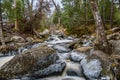 Forest landscape with small river cascade falls over mossy rocks Royalty Free Stock Photo