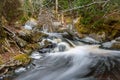 Forest landscape with small river cascade falls over mossy rocks Royalty Free Stock Photo