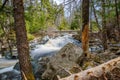 Forest landscape with small river cascade falls over mossy rocks Royalty Free Stock Photo