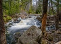 Forest landscape with small river cascade falls over mossy rocks Royalty Free Stock Photo