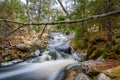 Forest landscape with small river cascade falls over mossy rocks Royalty Free Stock Photo