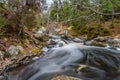 Forest landscape with small river cascade falls over mossy rocks Royalty Free Stock Photo