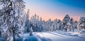 Forest landscape with snow covered trees in Finland, Lapland. Royalty Free Stock Photo