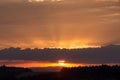 Forest landscape sundown