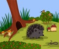 Forest landscape of a sunny day in a forest glade. funny hedgehog near his mink. vector illustration. concept take care