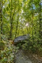 Forest landscape on a sunny day in Provo Utah Royalty Free Stock Photo