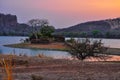 Evening view of forest landscape during sunset in an Indian forest