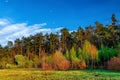 Forest landscape under evening sky with clouds in sunlight. Royalty Free Stock Photo