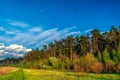 Forest landscape under evening sky with clouds in sunlight. Royalty Free Stock Photo