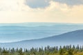 Forest landscape view with mist shadings in the valleys Royalty Free Stock Photo