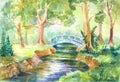 Forest landscape in watercolor. A bridge across the river. Walk