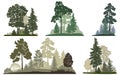 Forest landscapes set, pine and mixed forest scenes. Royalty Free Stock Photo