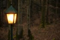 Forest lantern orange electricity illumination lighting with glares October November autumn month holidays mystery concept nature