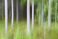 Impressionistic forest