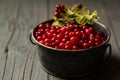 Forest lingonberries in a metal plate on a wooden table