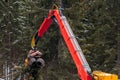 Forest log truck tree harvester working woodcutter. Concept industry cut wood Royalty Free Stock Photo