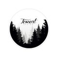 Forest logo design template, beautiful nature landscape with silhouettes of forest coniferous trees in fog, natural