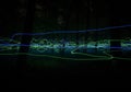 Forest magic captured with blue and green light. Royalty Free Stock Photo