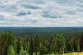 Forest. Massive landscape with spruce forest. March 21. 2024. International Day of Forests.