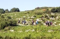 Pilgrims making the Camino de Santiago