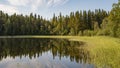 Forest and meadow reflection in mini lake in central Sweden