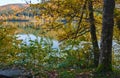 Forest meadow on shore of picturesque lake. Vilshany water reservoir on the Tereblya river, Transcarpathia, Ukraine. Beautiful Royalty Free Stock Photo