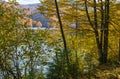 Forest meadow on shore of picturesque lake. Vilshany water reservoir on the Tereblya river, Transcarpathia, Ukraine. Beautiful Royalty Free Stock Photo