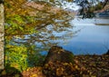 Forest meadow on shore of picturesque lake. Vilshany water reservoir on the Tereblya river, Transcarpathia, Ukraine. Beautiful Royalty Free Stock Photo