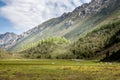 Forest and meadow in a valley