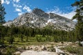 Forest and Meadows Below Ragged Peak in Yosemite