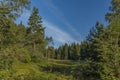Forest and meadows near Rotava town in west Bohemia Royalty Free Stock Photo